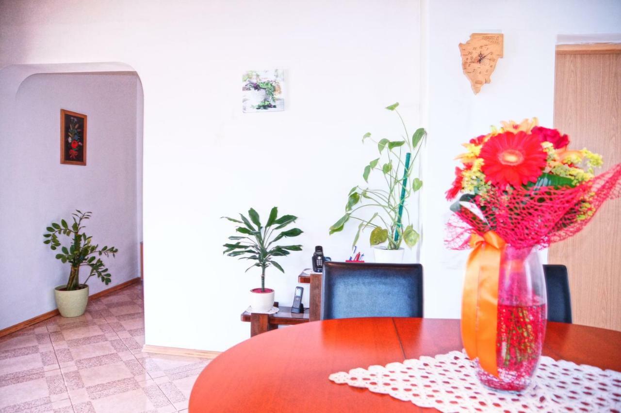 Holiday Home Bura Rovinj Extérieur photo